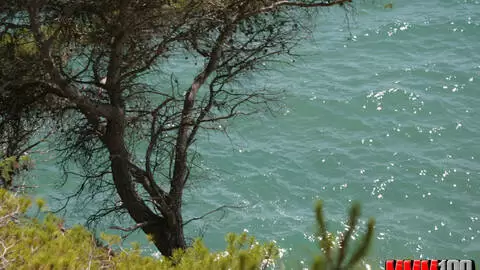 La magnifique brune Alys Rebel se dénude dans les bois  photo 1
