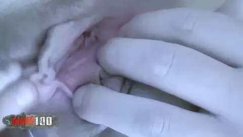 Petite baise improvisée avec Barbara Nux photo 10