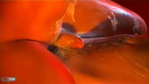 Show de Group au salon de Besancon 2007 partie 2 photo 15