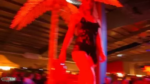 Show de Amelie Jolie et Shannya Tweeks au salon de Besancon 2009  photo 07