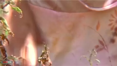 Blonde à gros seins fait un strip près d'un lac photo 07