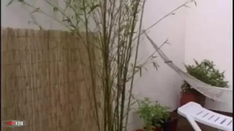 La belle brune Eva fait un strip  photo 09