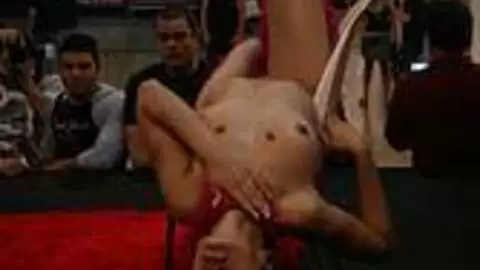 Show de Krystal au salon de FICEB 2007 (part 02) photo 12