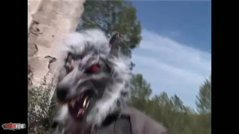 Quand le petit chaperon rouge rencontre Alice photo 07