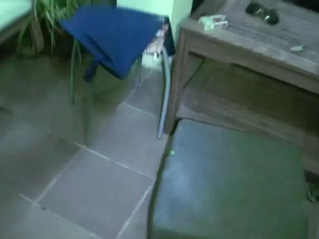 Allya fait la rencontre d'un insecte vert et elle n'arrive pas à s'en remettre ! photo 2