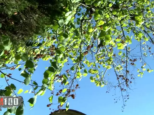 Nettoyage de l'objectif de la caméra photo 6