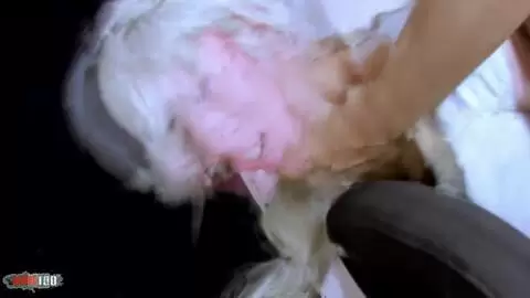 La jeune blonde française Milky Cooper dans un trio anal avec double pénétration photo 05