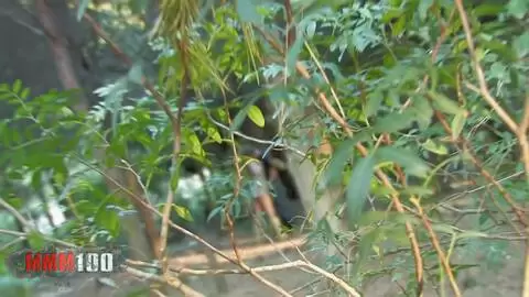 Un voyeur filme en mec se faisant sucer dans les bois photo 4