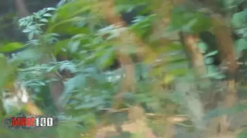 Un voyeur filme en mec se faisant sucer dans les bois photo 5