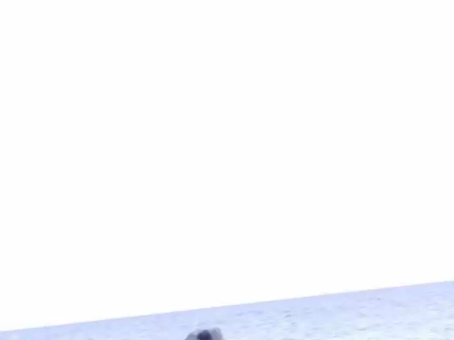 Nathalie Sainlouis fait une bonne pipe à Jorge sur la plage photo 1