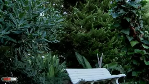 Pauline Cooper fait un petit pipi en exterieur photo 16