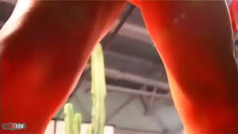 Show de Angelina au salon de Prova 2006 (part 02) photo 02