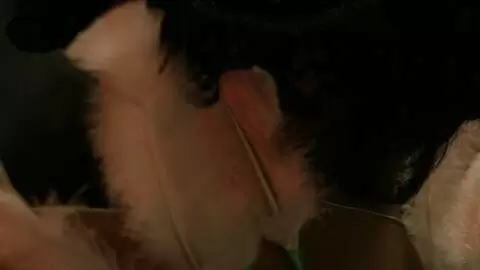 Show de Krystal au salon de Prova 2007  photo 3