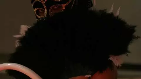 Show de Krystal au salon de Prova 2007  photo 5