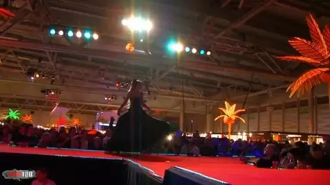 Show de Krystal au salon de Prova 2008 (part 02) photo 02