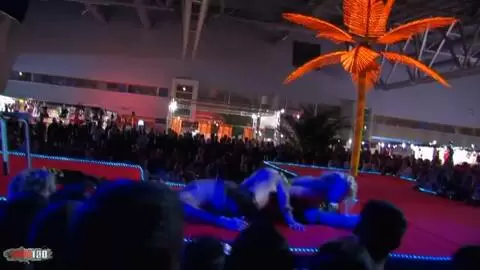 Show de Shana Spirit au salon de Prova 2008 (part 04) photo 09