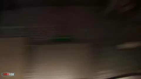 Show de Shannya Tweeks et Kelly Toma au salon de Prova 2008 (part 02) photo 16