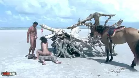 Le cul latino poilu de Druunia Diva se fait doublement pénétrer par Alain Deloin et Titof sur une plage tropicale photo 07