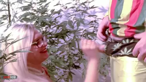 Trio avec Vanessa Coccolona à la plantation de marijuana photo 02