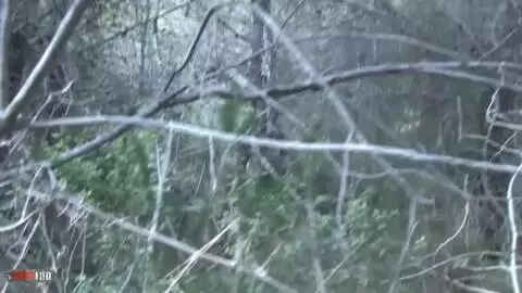 Video voyeur d'une nana qui pompe son mec dans les bois photo 03