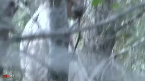 Video voyeur d'une nana qui pompe son mec dans les bois photo 04