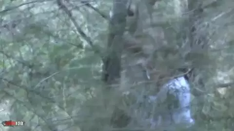 Video voyeur d'une nana qui pompe son mec dans les bois photo 06