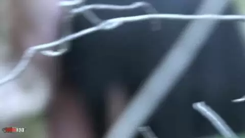 Video voyeur d'une nana qui pompe son mec dans les bois photo 09