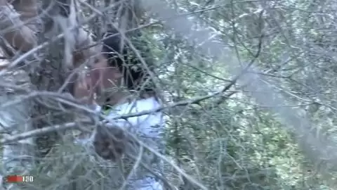 Video voyeur d'une nana qui pompe son mec dans les bois